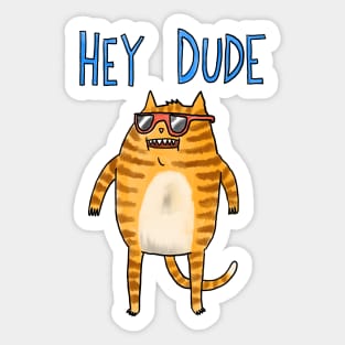 Hey Dude Sticker